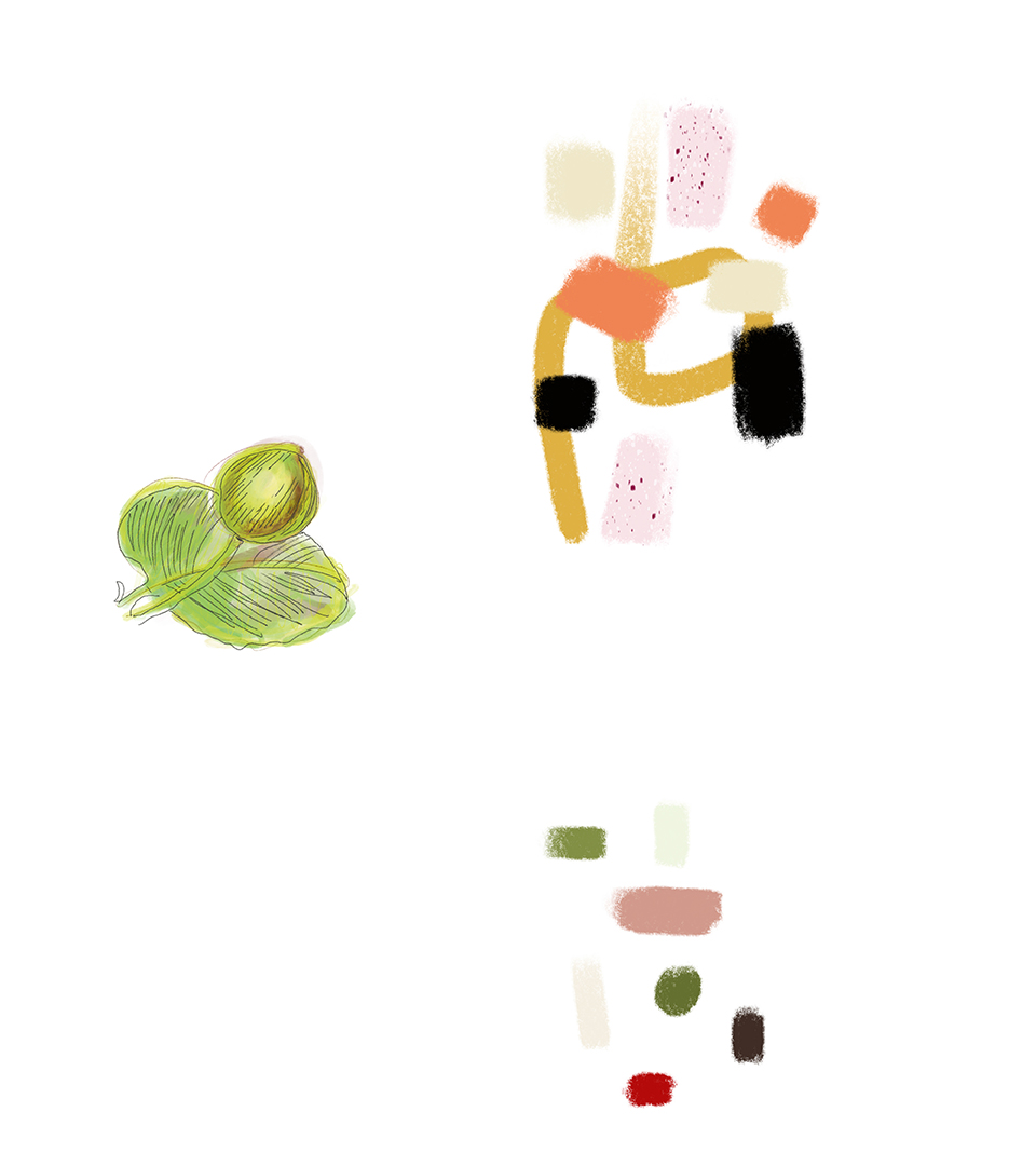 Illustrazione degli ingredienti come codifica visiva del piatto